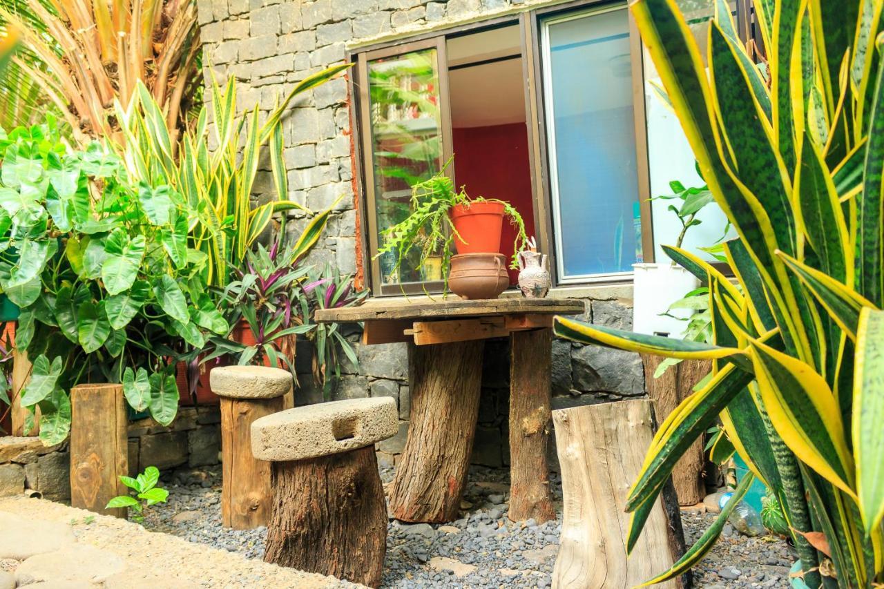 Quinta Ribeirinha Vakantieboerderij *