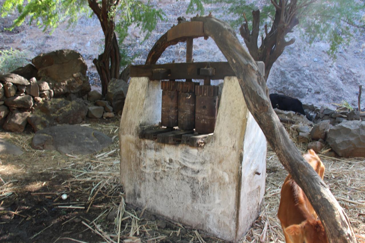Vakantieboerderij Quinta Ribeirinha *